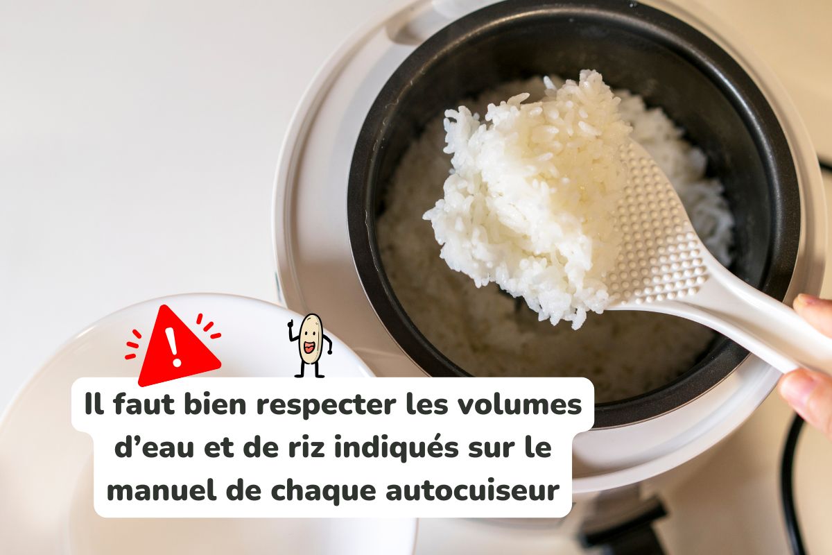 technique-cuisson-du-riz-au-cuiseur-a-riz astuce de cuisson du riz au cuiseur à riz